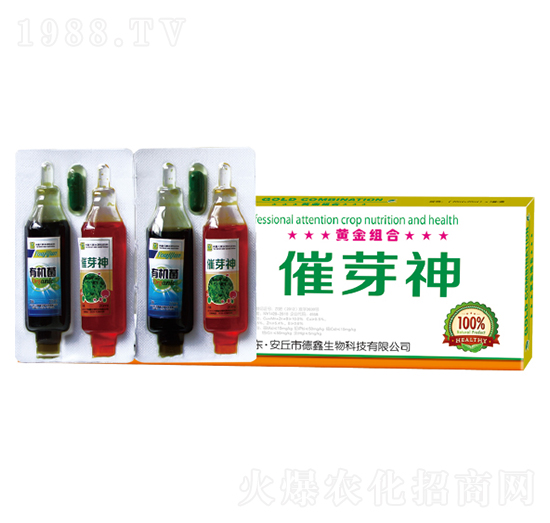 �S��M��-��ѿ��-��������