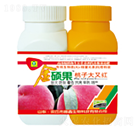 ���Ӵ��ּt-��T��-��������