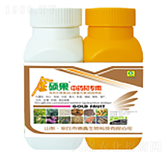 ��ˎ�Č����~���-��T��-��������