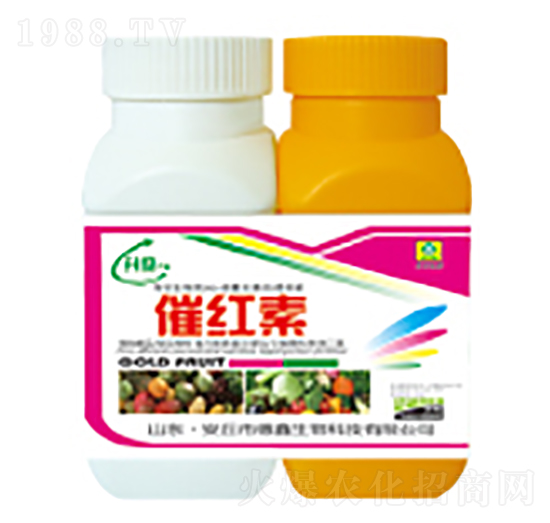 �߼t��-��������