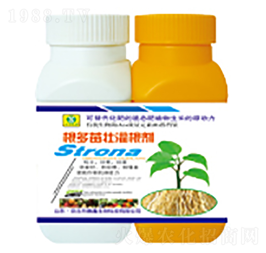 ������ѹ����-��������