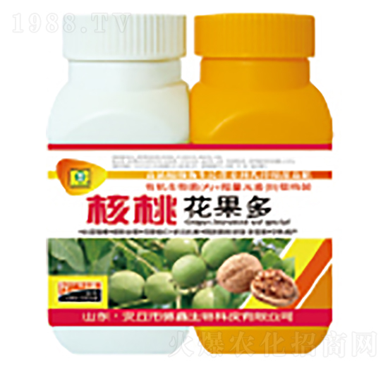 ���һ�����-��������