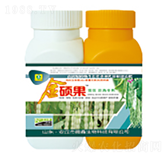 �|�����ǌ����~���-��T��-��������