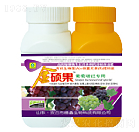 �������t��(zhu��n)���~���-��T��-��������