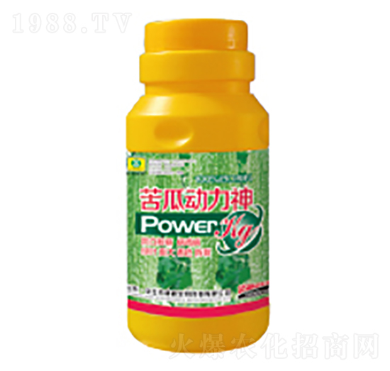 ��τ������~���-��������