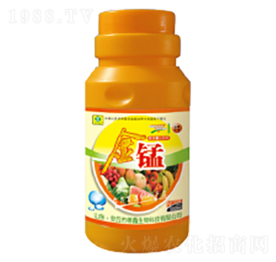 ���i�~���-��������