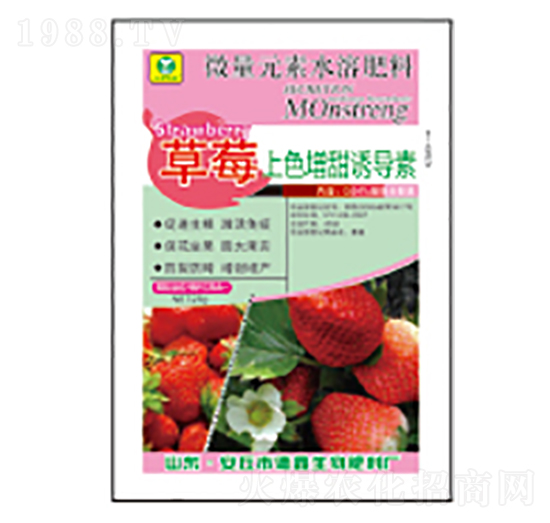 ΢��Ԫ��ˮ�ܷ���-��ݮ��ɫ�����T����-��������