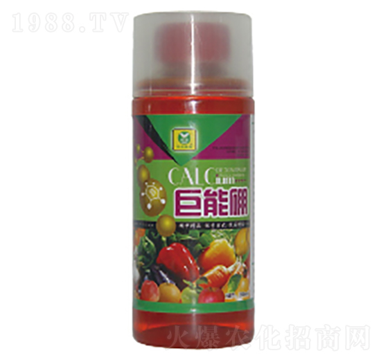 �������~���-��������