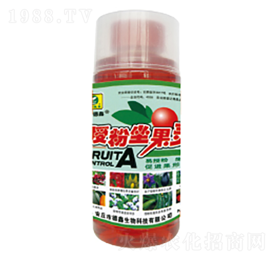 �ڷ������`-��������