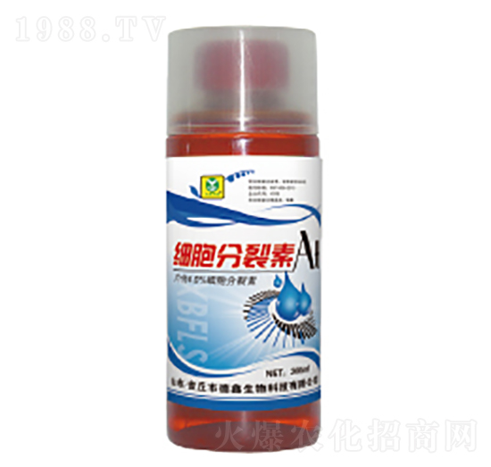 ��(x��)��������-��������