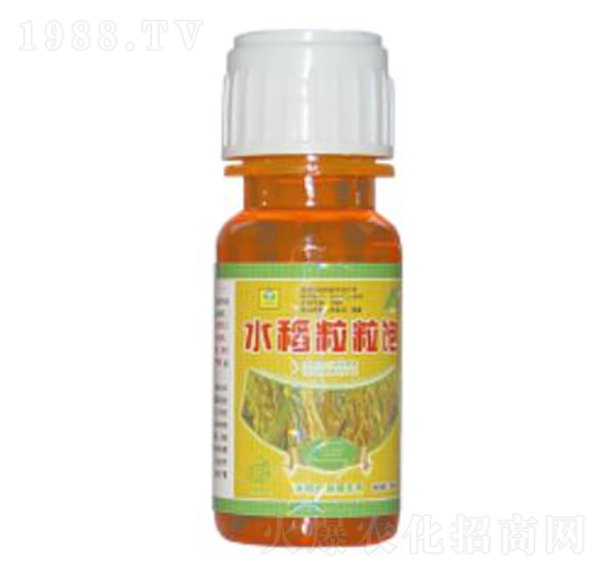 水稻粒粒飽-德鑫生物