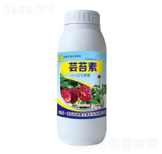 �|̦�����ߌ���-��������