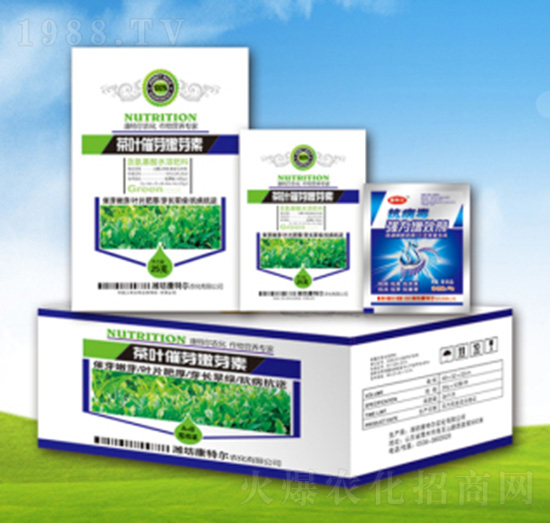 ���~��ѿ��ѿ��-���ؠ��r��