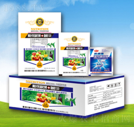 �S�~���砀������120-���ؠ��r��