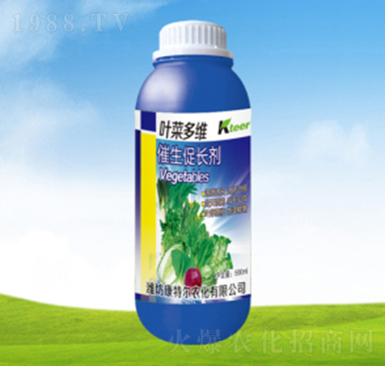 �~�˶�S�������L(zh��ng)��-���ؠ��r(n��ng)��