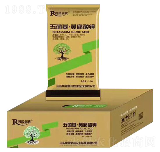 ���������VԴ�S�����-����փ�(y��u)-�A���s��