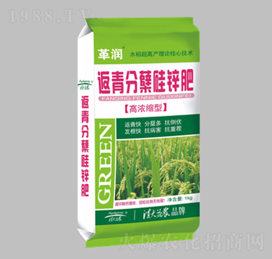 高濃縮型返青分蘗硅鋅肥-革潤(rùn)-清大益農(nóng)