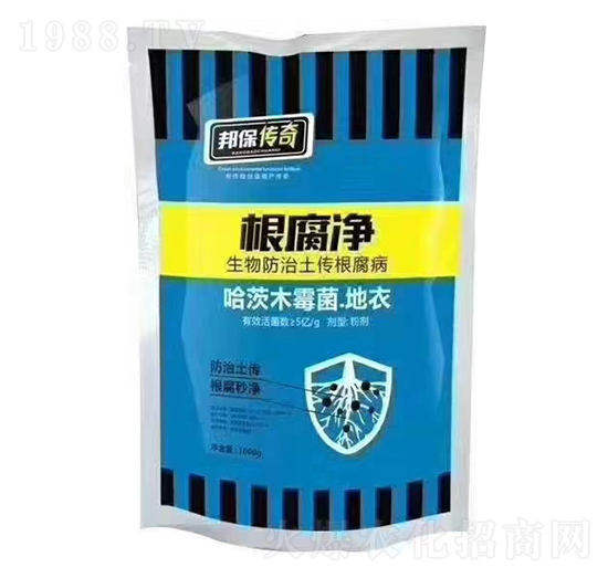 根腐凈-邦保傳奇-蘇研印象