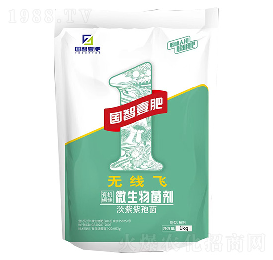 �o���w-����Ҽ��