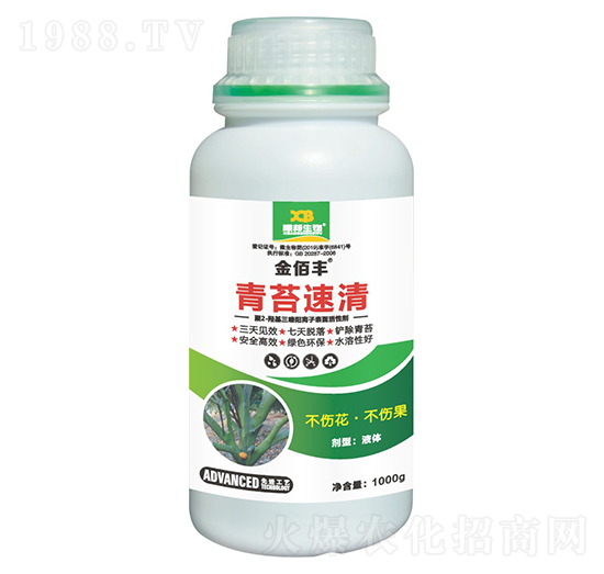 ��̦����-����S-�ذ�����