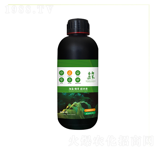 瓶裝海藻精萃超濃液-臺灣新芽