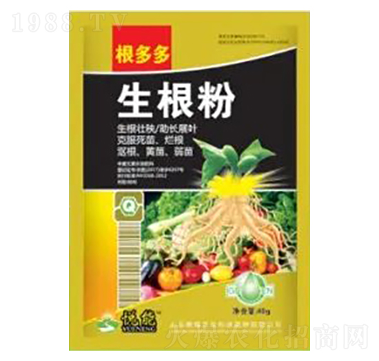 ������-�����-�sҫ�r(n��ng)�I(y��)