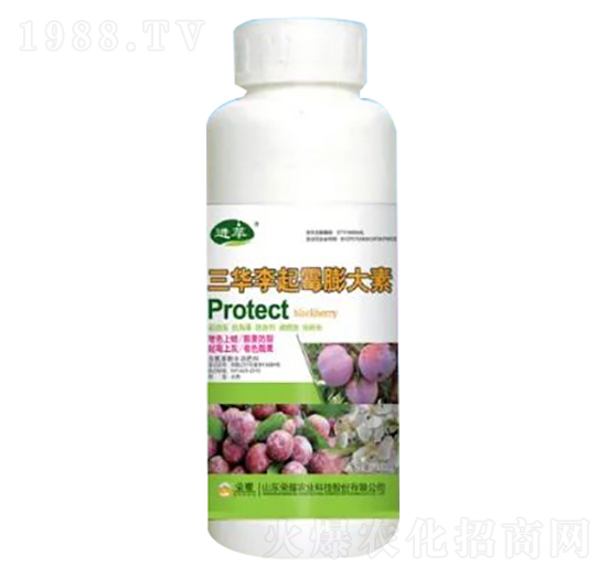 500g三華李起霉膨大素-榮耀農(nóng)業(yè)