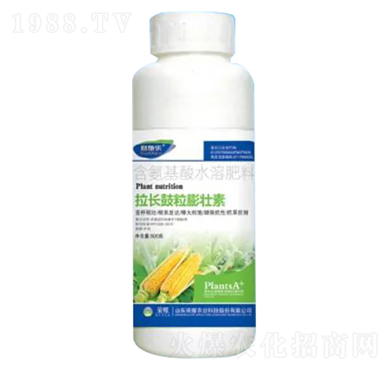 500g含氨基酸水溶肥料-拉長鼓粒膨壯素-榮耀農(nóng)業(yè)