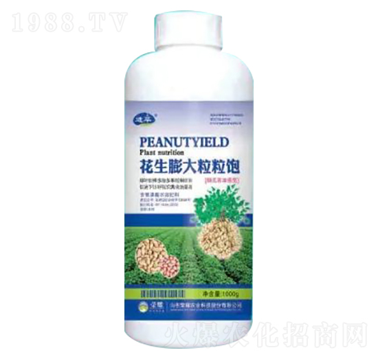 1000g花生膨大粒粒飽-榮耀農(nóng)業(yè)