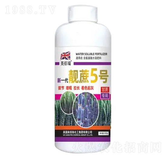 1000g新一代靚蔗5號-榮耀農(nóng)業(yè)