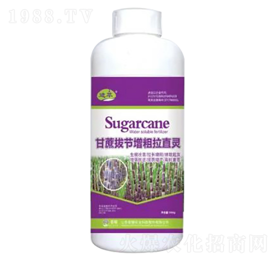 1000g甘蔗拔節(jié)增粗拉直靈-榮耀農(nóng)業(yè)