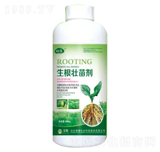 1000g生根壯苗劑-榮耀農(nóng)業(yè)