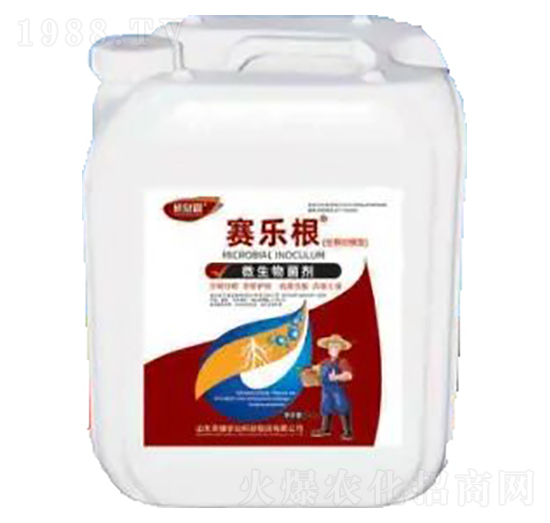 ِ��(l��)��-΢�������-�sҫ�r(n��ng)�I(y��)