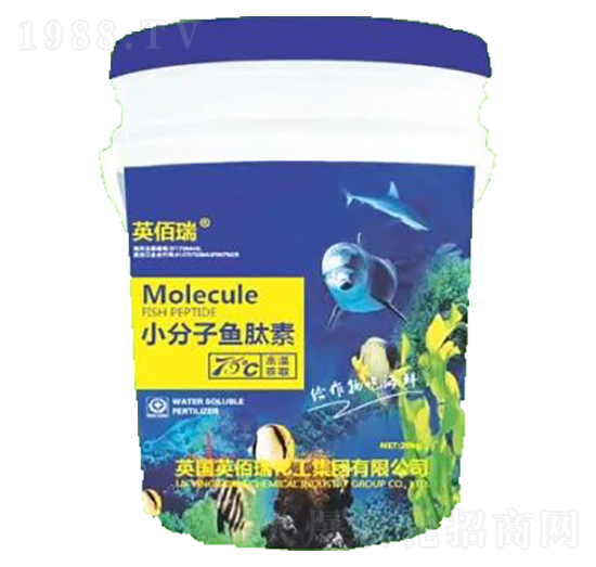 С�����~����-�sҫ�r(n��ng)�I(y��)