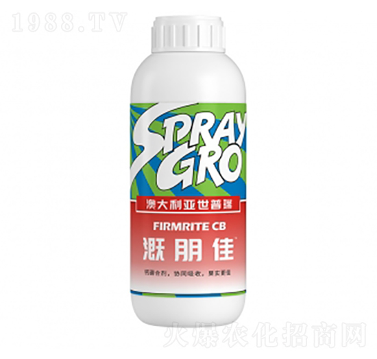 �����-��ţ�r�I(y��)