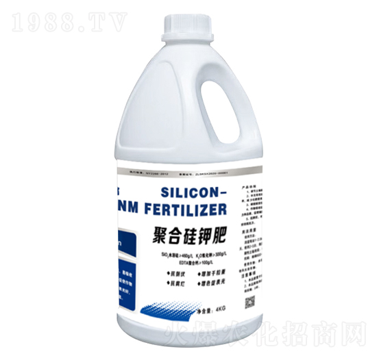 �ۺϹ�⛷�-����һ̖(h��o)-���r(n��ng)��