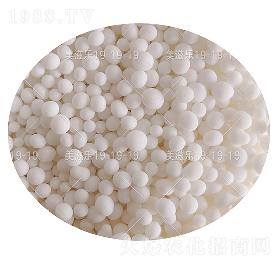 ��(w��n)���ԏ�(f��)�Ϸ���19-19-19+TE���w����-���̘�-���컯