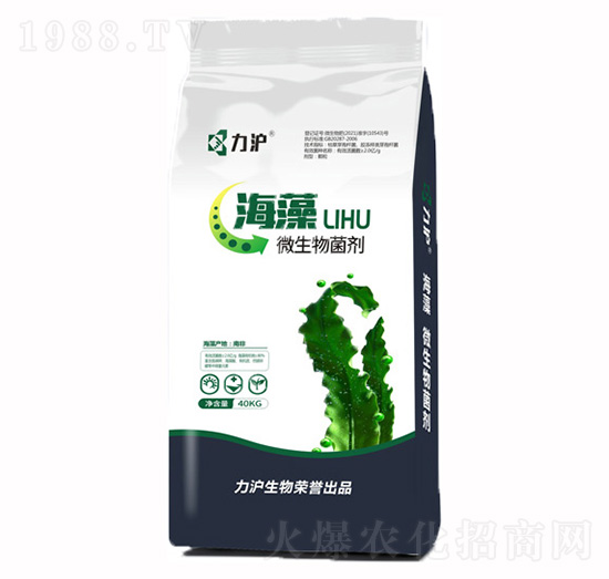 ����΢�������-��������