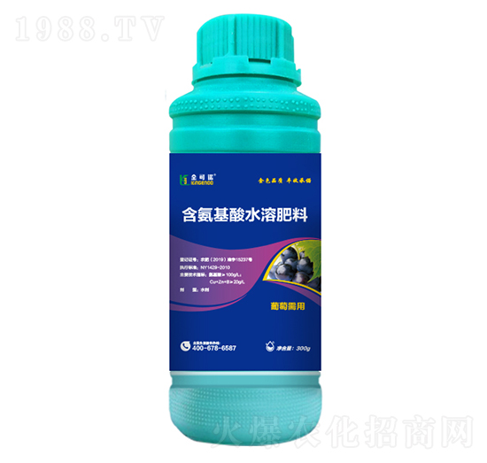 300g葡萄需用含氨基酸水溶肥料-金可諾