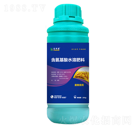 300g麥糧需用含氨基酸水溶肥料-金可諾