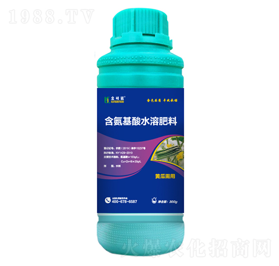 300g黃瓜需用含氨基酸水溶肥料-金可諾