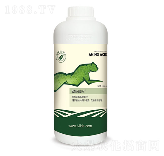 冷調(diào)節(jié)蛋白促進(jìn)劑-勁脈暖陽-綠力達(dá)