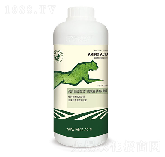 �z�ҹ������ЙC�-���}�G������-�G���_