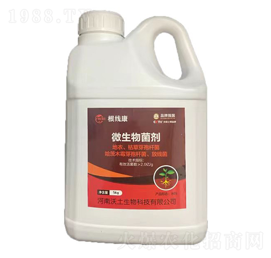 ΢�������-������-��������