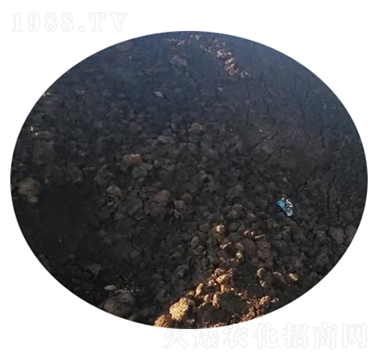 牛糞有機肥-農(nóng)神肥業(yè)