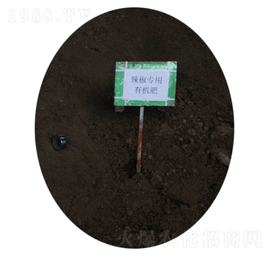 辣椒有機肥-農(nóng)神肥業(yè)