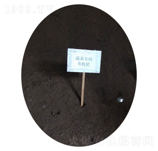 蔬菜專用有機肥-農(nóng)神肥業(yè)