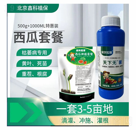 ���o(w��)�������ײ�-�ο�ֲ��