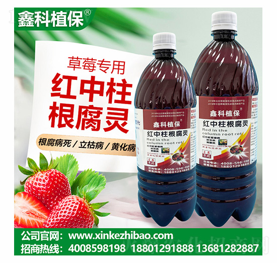 ��ݮ���üt���������`-�ο�ֲ��