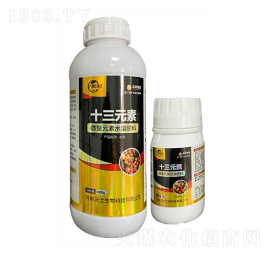 ����Ԫ��ˮ�ܷ�-ʮ��Ԫ��-��������